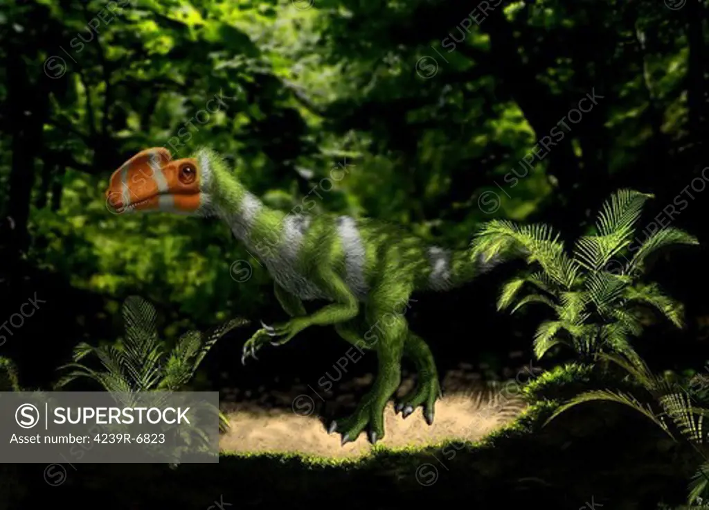 Kileskus aristotocus of the Middle Jurassic Period.
