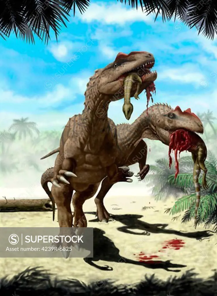 TwoAllosaurus europaeus with a Hypsilophodon foxii in mouth as its next meal.