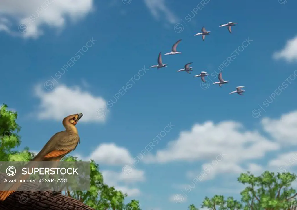 An Archaeopteryx observing a flock of migrating pterosaurs.