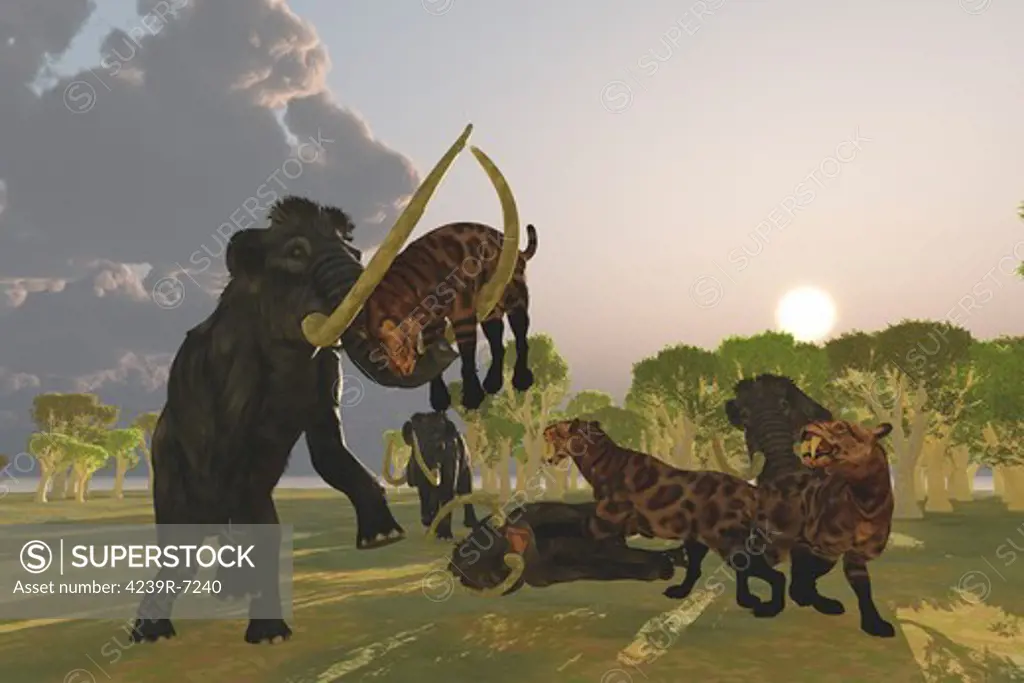 A pack of Saber Tooth Cats attack a small Woolly Mammoth while his herd comes to the rescue.