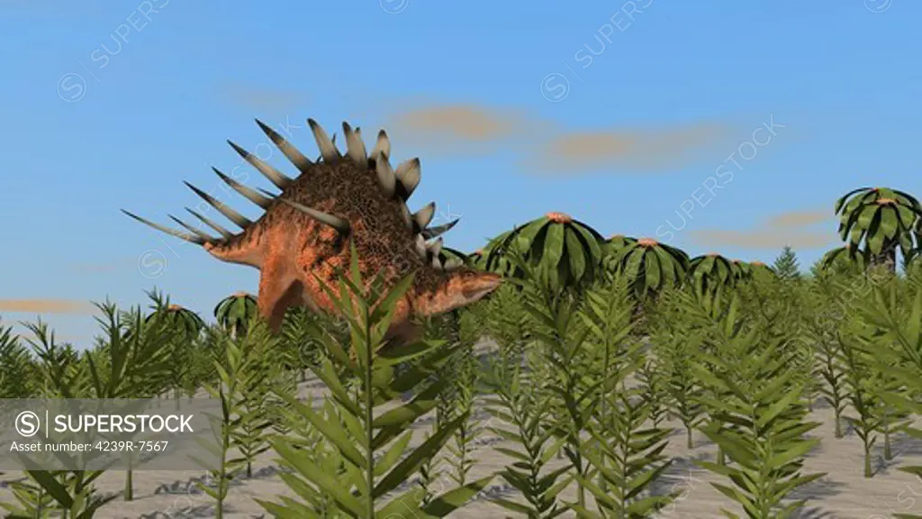 Kentrosaurus grazing amongst desert plants.