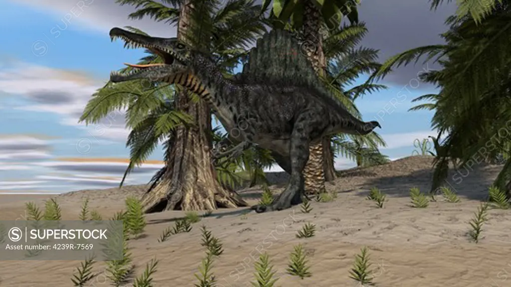 Spinosaurus hunting in a desert environment.