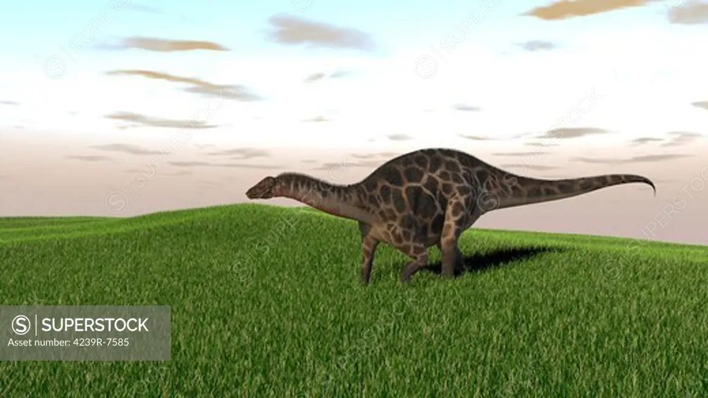 Dicraeosaurus walking across prehistoric grasslands.