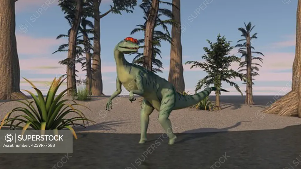 Dilophosaurus standing in shallow water.