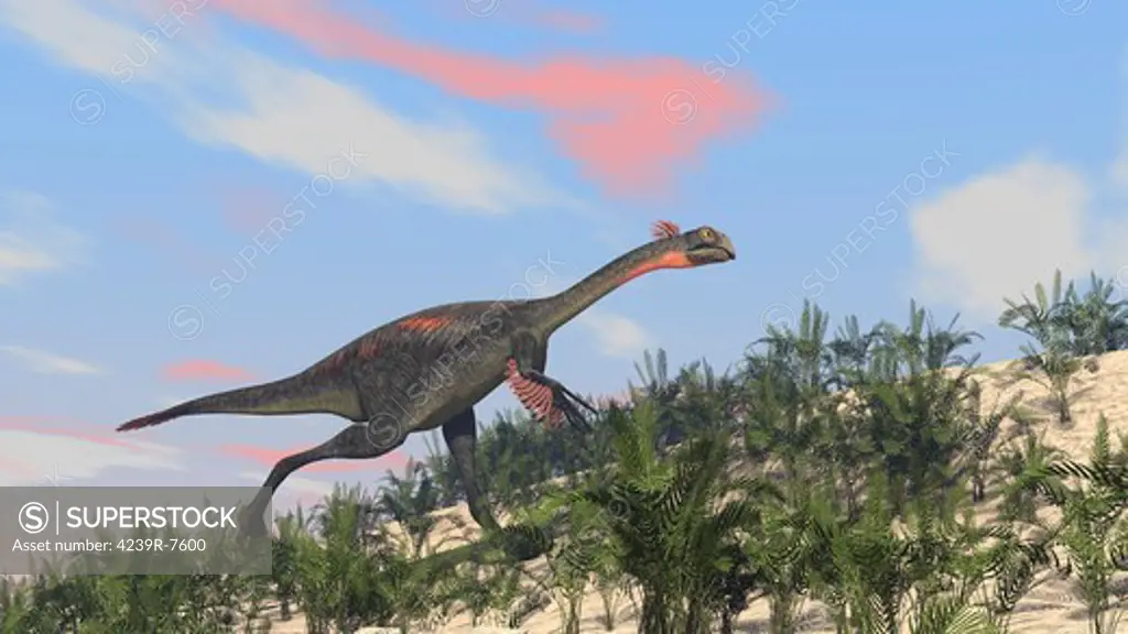 Gigantoraptor running up a hill.