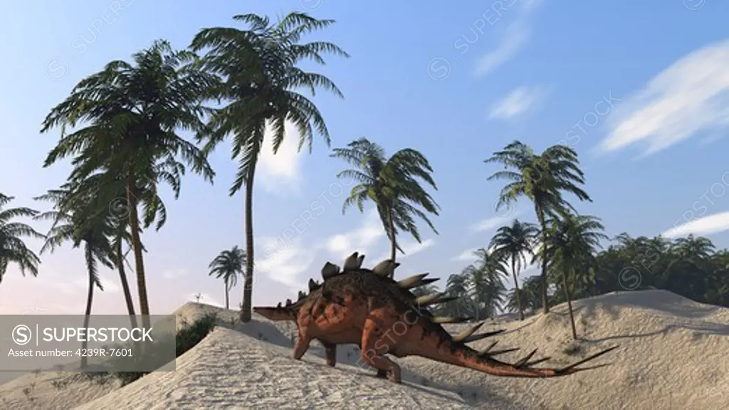 Kentrosaurus roaming a tropical setting.