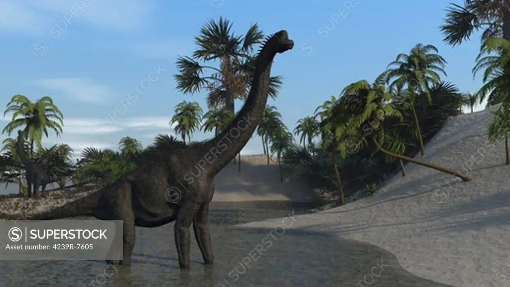 Large Brachiosaurus in shallow water.