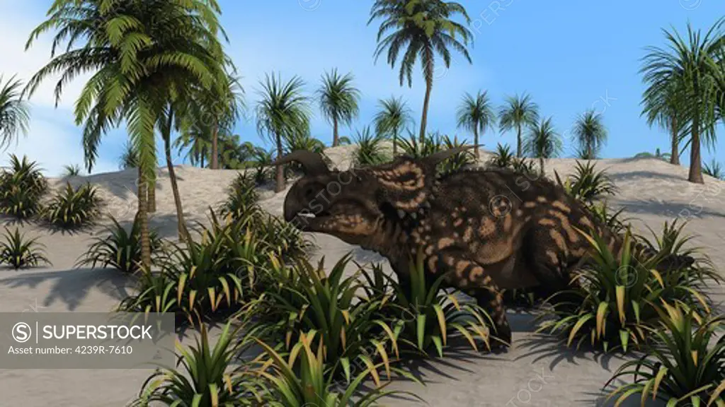 Brown Einiosaurus in a tropical setting.