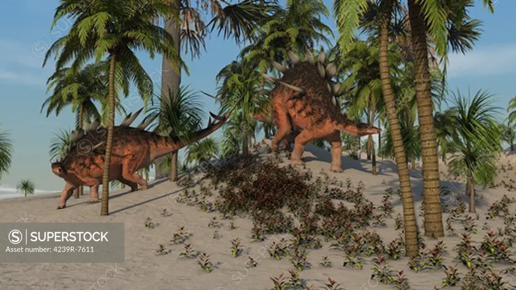 Two Kentrosaurus dinosaurs walking in a tropical environment.