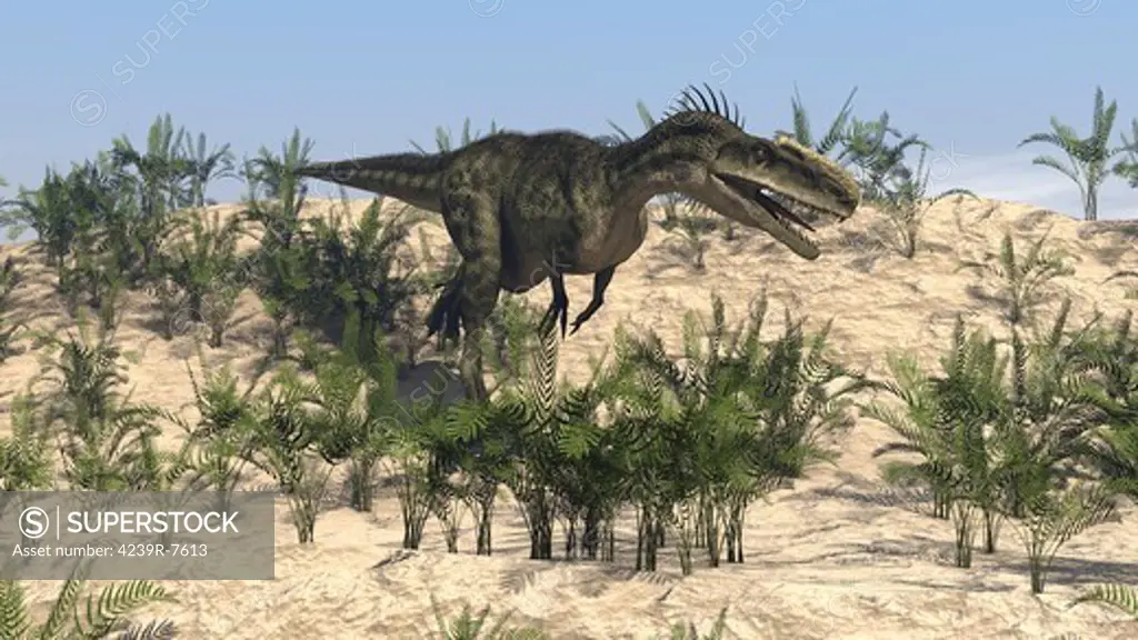 Dilophosaurus running across desert terrain.