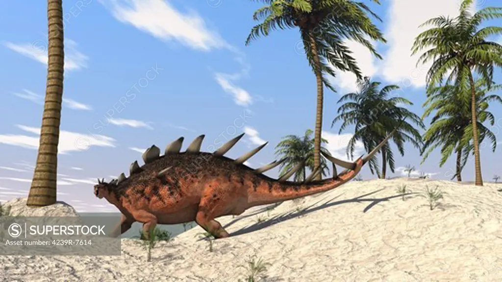 Kentrosaurus walking in a tropical environment.