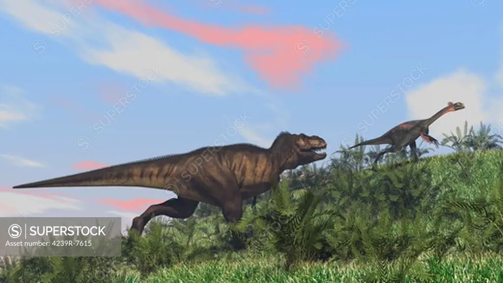 Tyrannosaurus Rex hunting a Gigantoraptor in an open field.