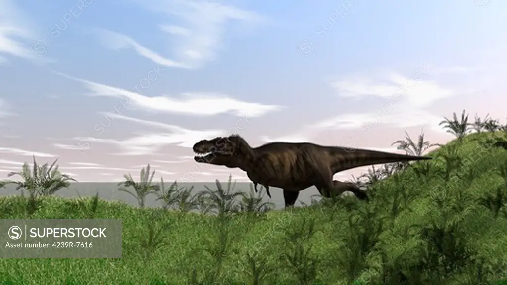 Tyrannosaurus Rex hunting in an open field.