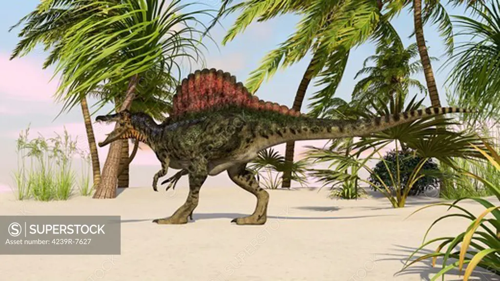 Spinosaurus hunting for food.
