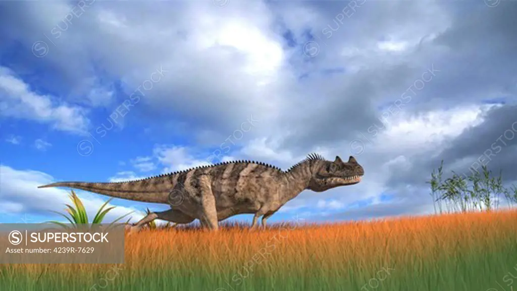 Ceratosaurus hunting in prehistoric grasslands.