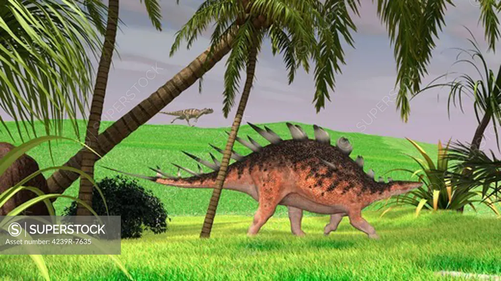 Kentrosaurus walking through a field, with a Ceratosaurus in background.