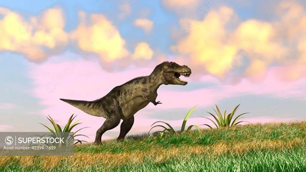 Tyrannosaurus Rex hunting in an open field.