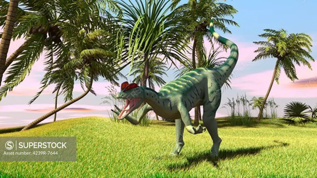 Dilophosaurus hunting in a field for its next meal.