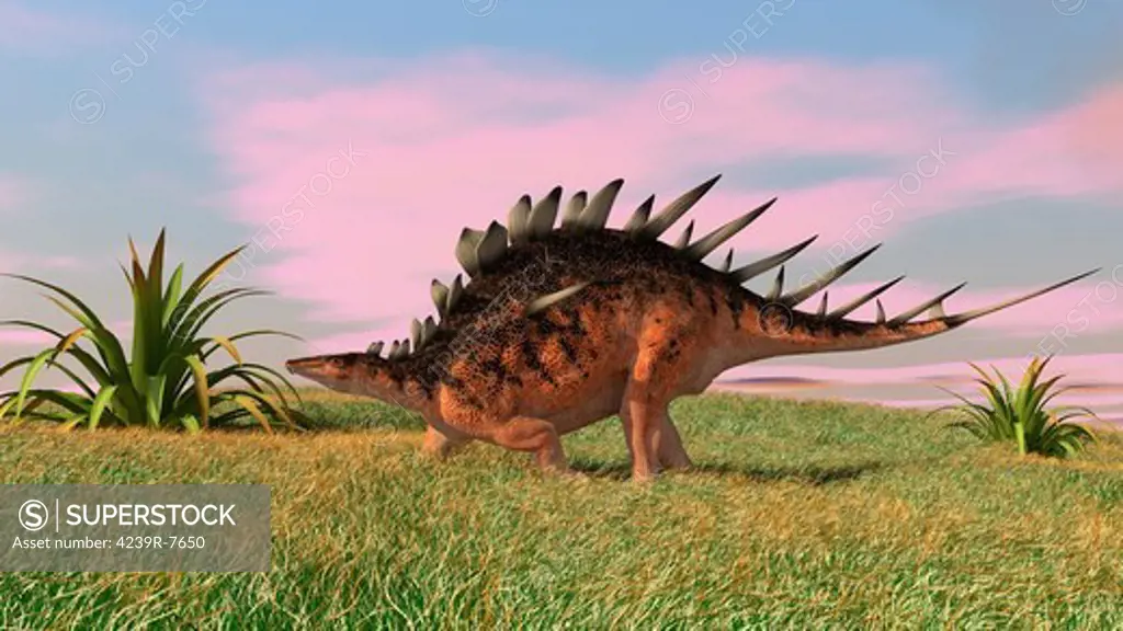 Kentrosaurus walking across prehistoric grasslands.