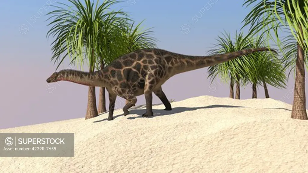 Dicraeosaurus walking in a tropical environment.