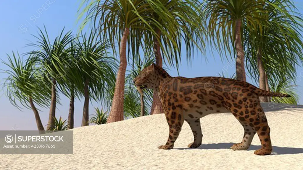 A Saber-Tooth Tiger in a tropical environment.