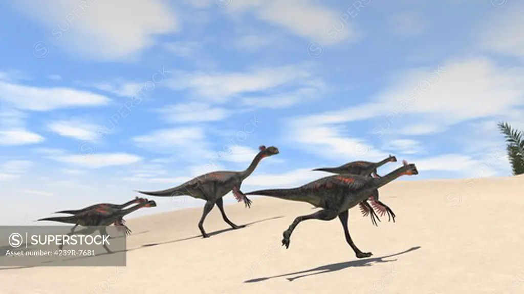 Herd of Gigantoraptors running across desert terrain.