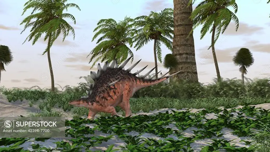 Kentrosaurus in a prehistoric landscape.