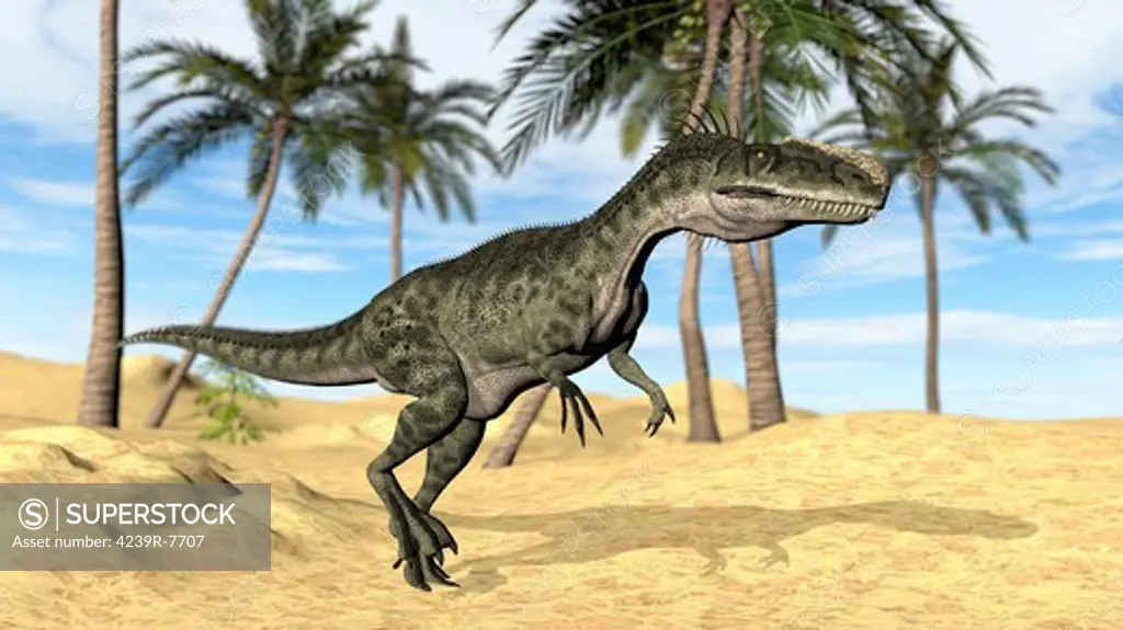Monolophosaurus walking across a prehistoric landscape.
