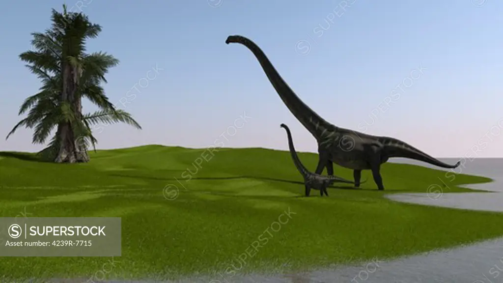 Mamenchisaurus and her offspring walking across an open field.