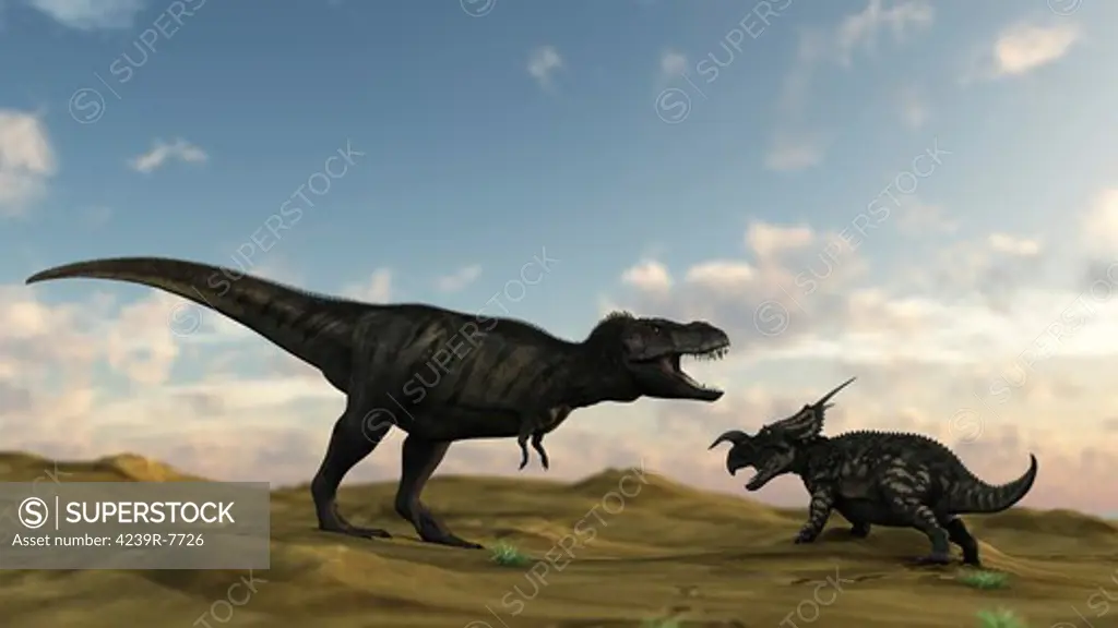 An Einiosaurus is confronted by a Tyrannosaurus Rex.