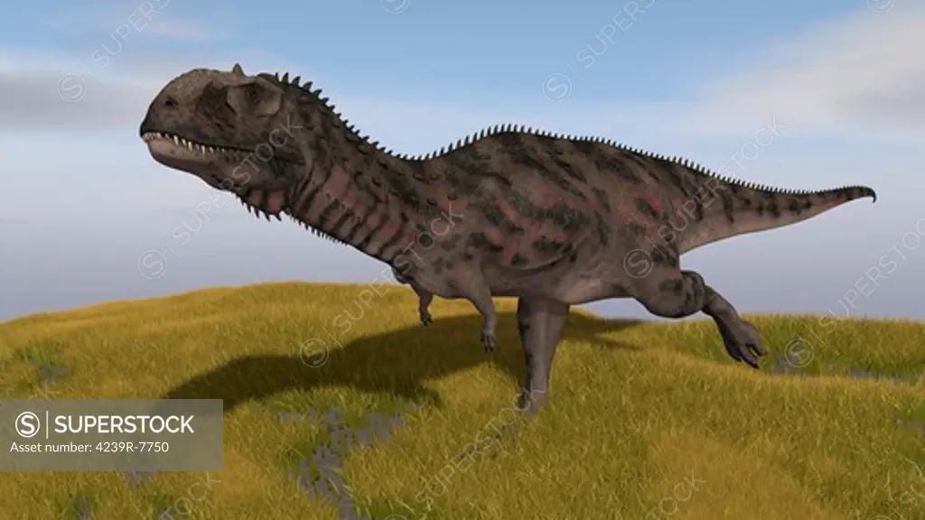 Majungasaurus running across a grassy field.