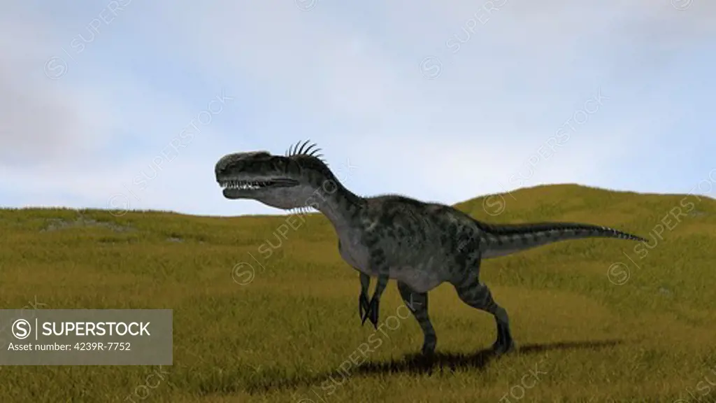 Monolophosaurus walking across a grassy field.