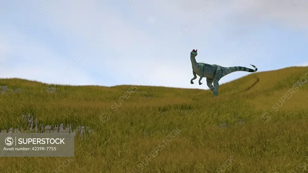 Dilophosaurus walking across prehistoric grasslands.