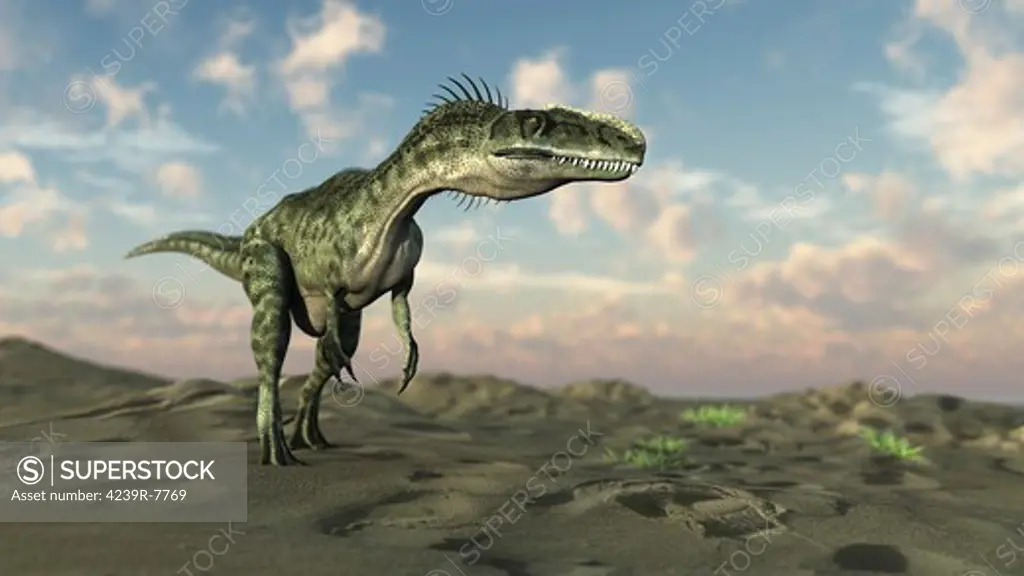 Monolophosaurus walking across desert terrain.
