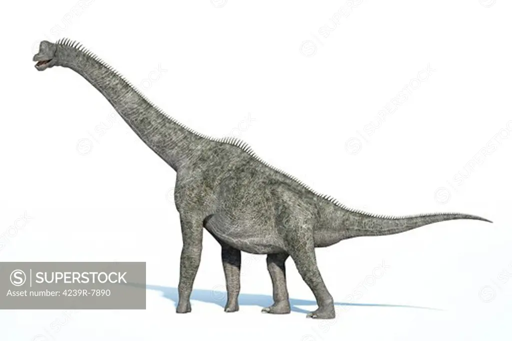 3D rendering of a Brachiosaurus dinosaur.