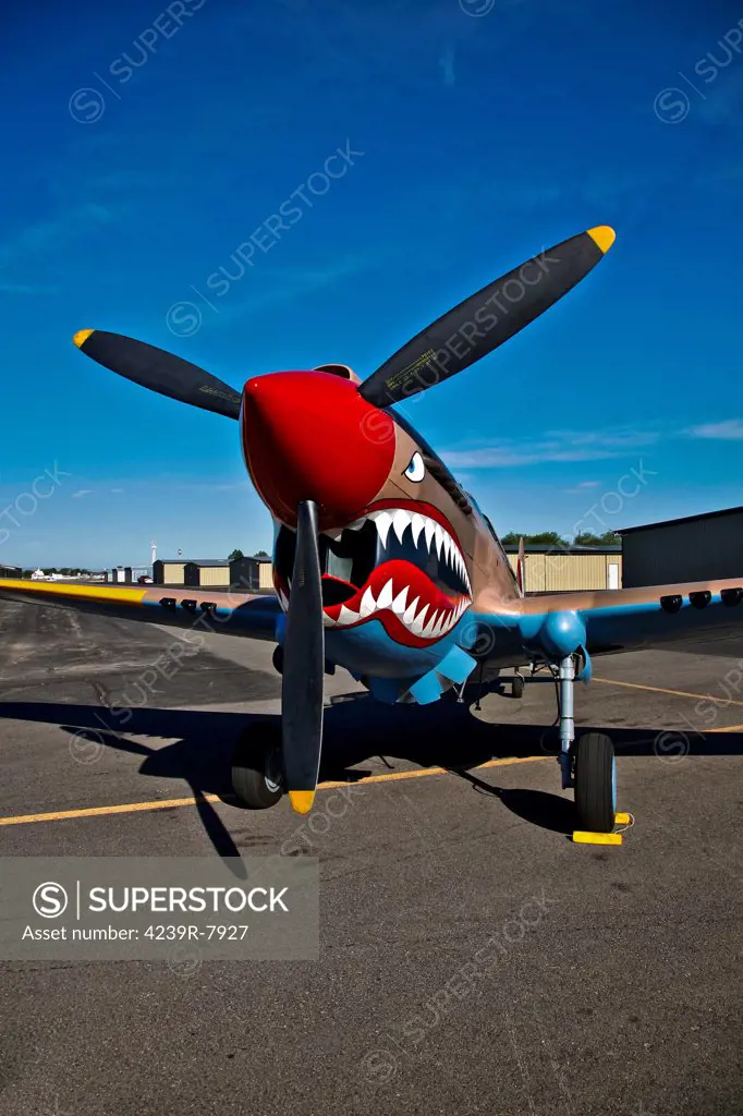 Curtiss P-40E Warhawk on display at the Warhawk Air Museum, Nampa, Idaho.