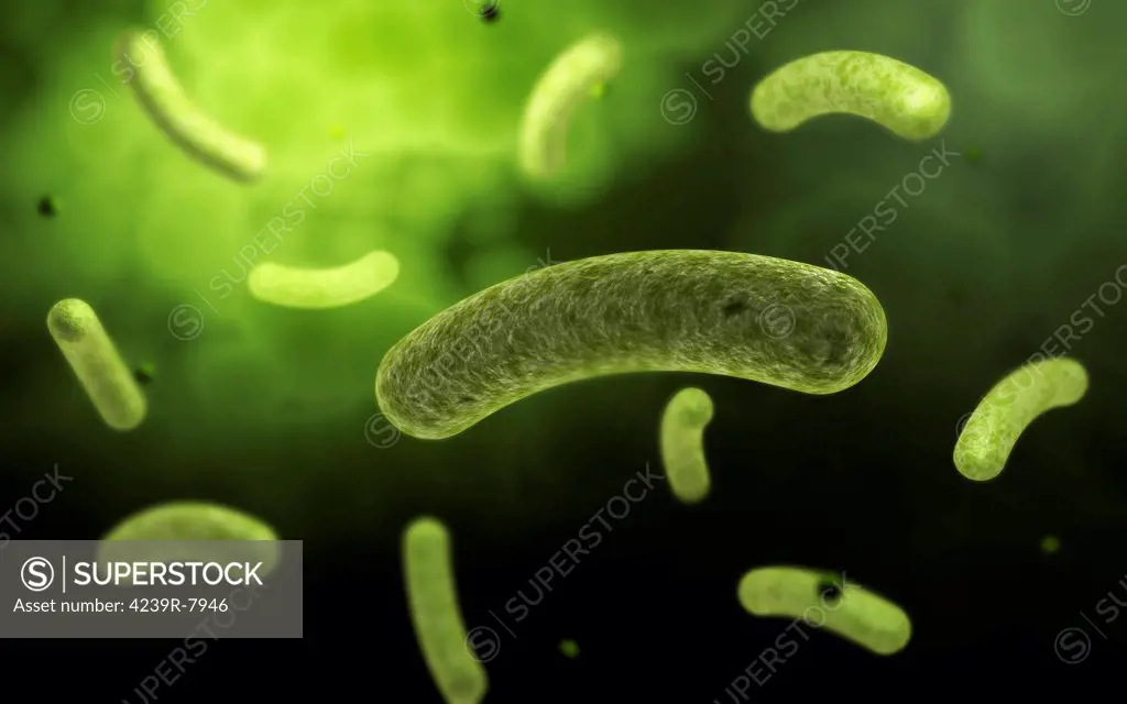 Conceptual image of common bacteria.