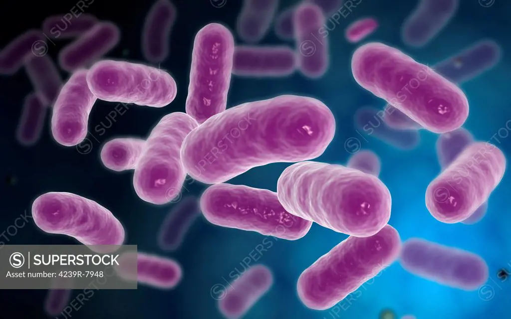 Conceptual image of bacteria.