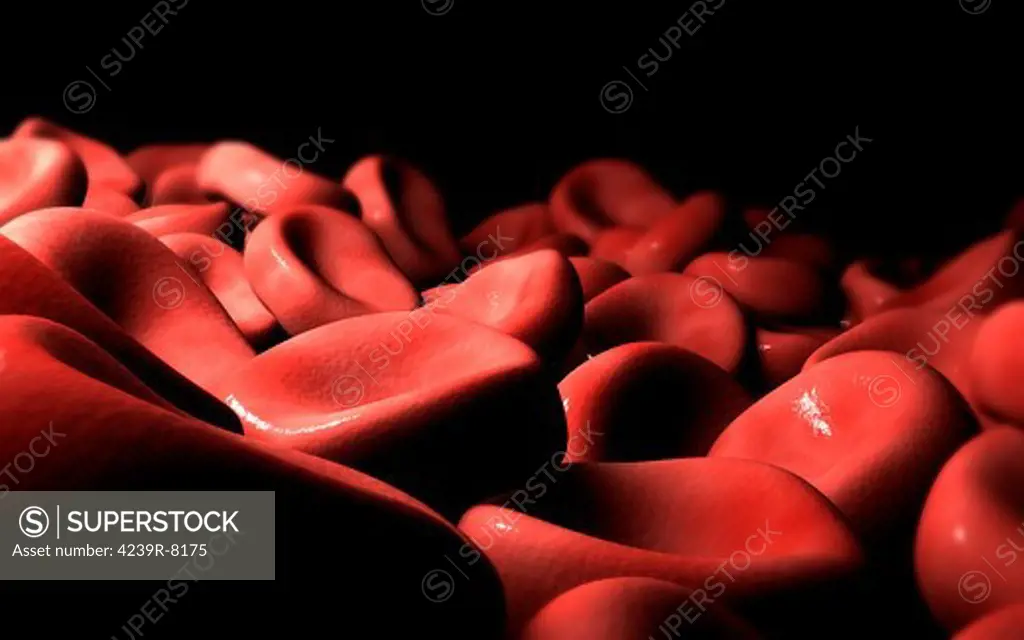 Conceptual image of red blood cells.