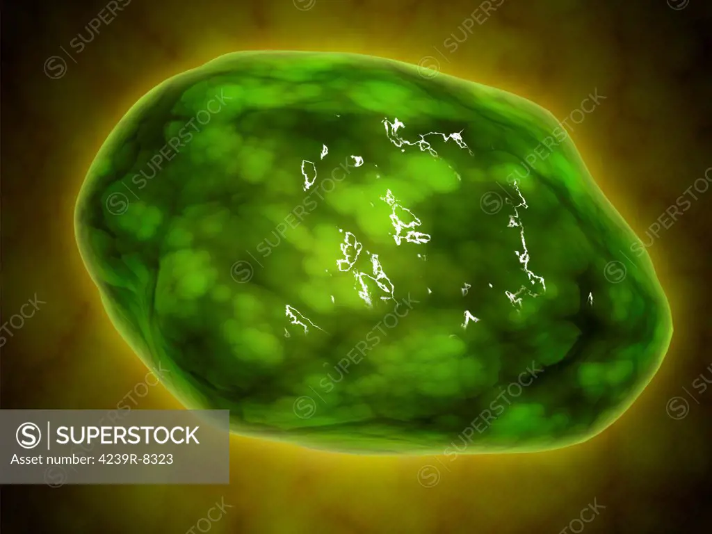 Conceptual image of lysosome. Lysosomes are cellular organelles that contain acid hydrolase enzymes that break down waste materials and cellular debris.