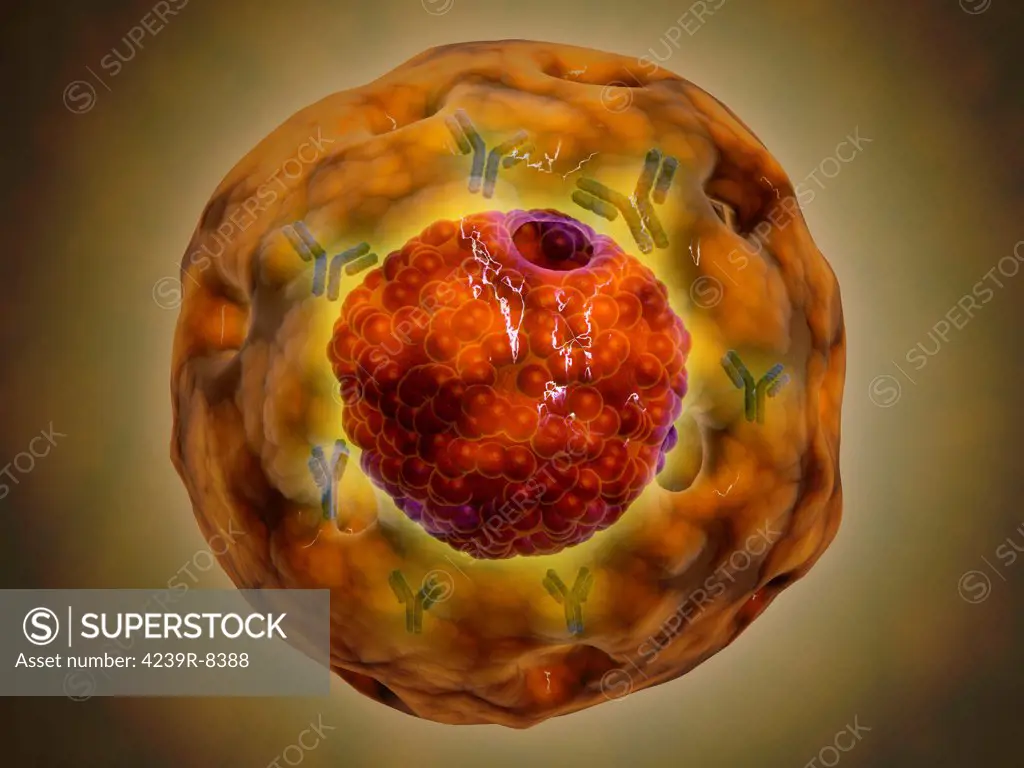 Cell nucleus with chromosome. The cell nucleus helps control eating, movement, and reproduction.