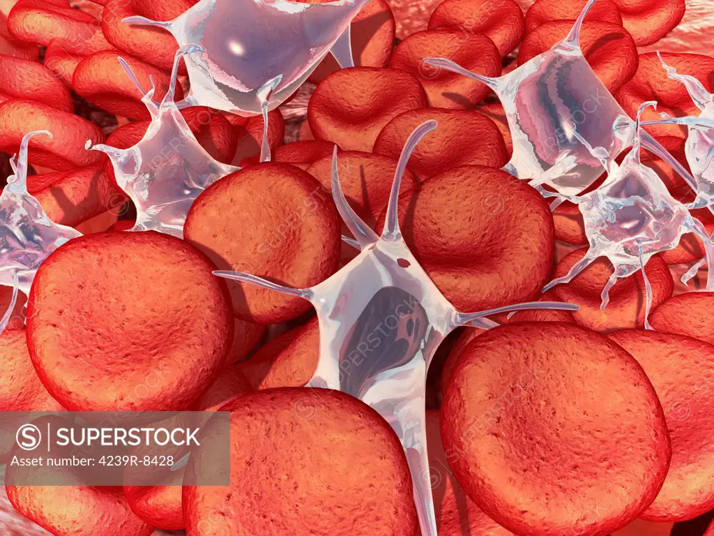 Conceptual image of red blood cells with platelets.