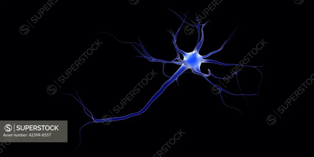 Conceptual image of a neuron.