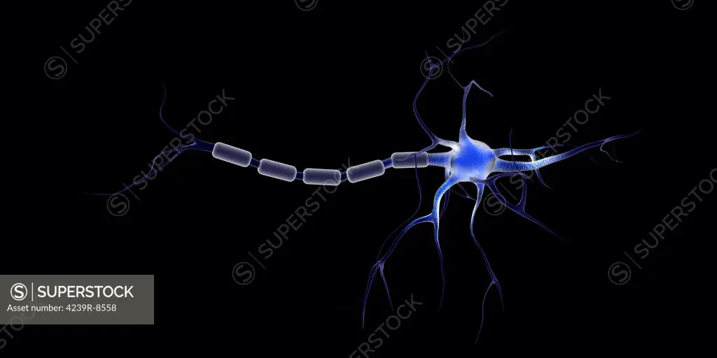 Conceptual image of a neuron.