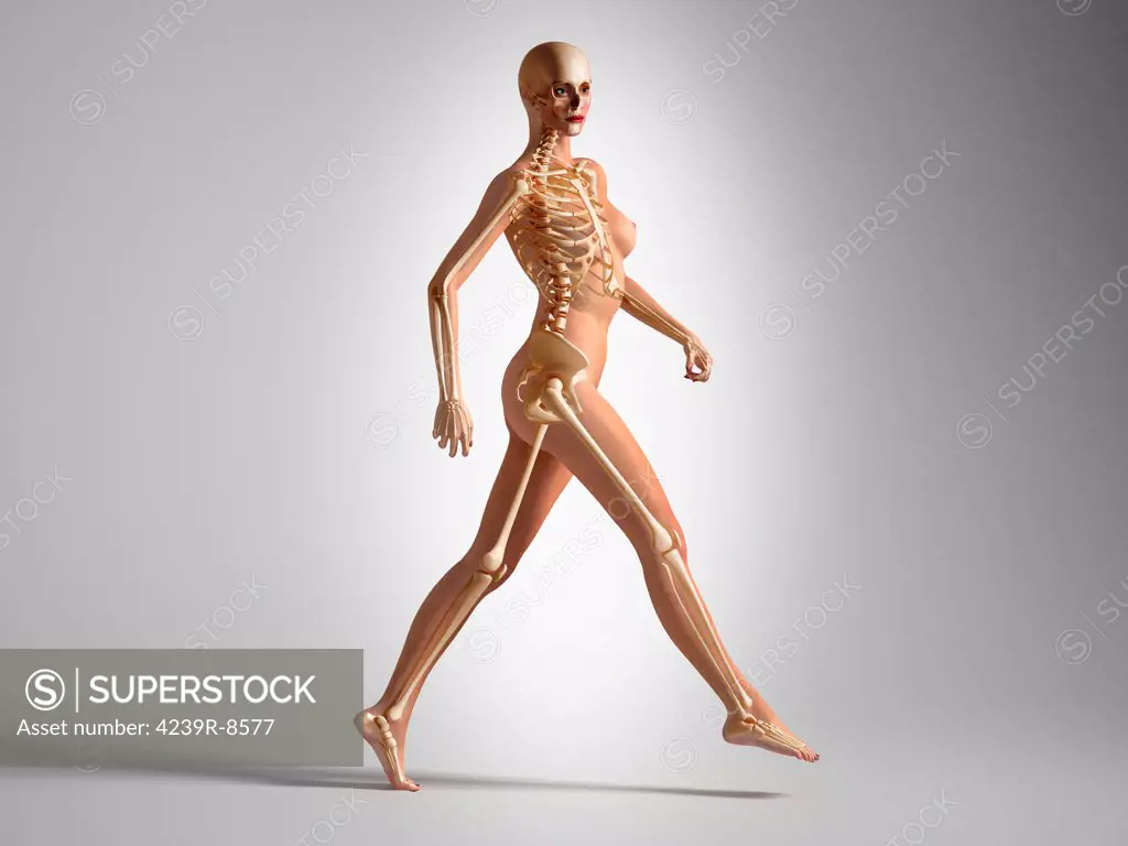 3D rendering of a naked woman walking, with skeletal bones superimposed.