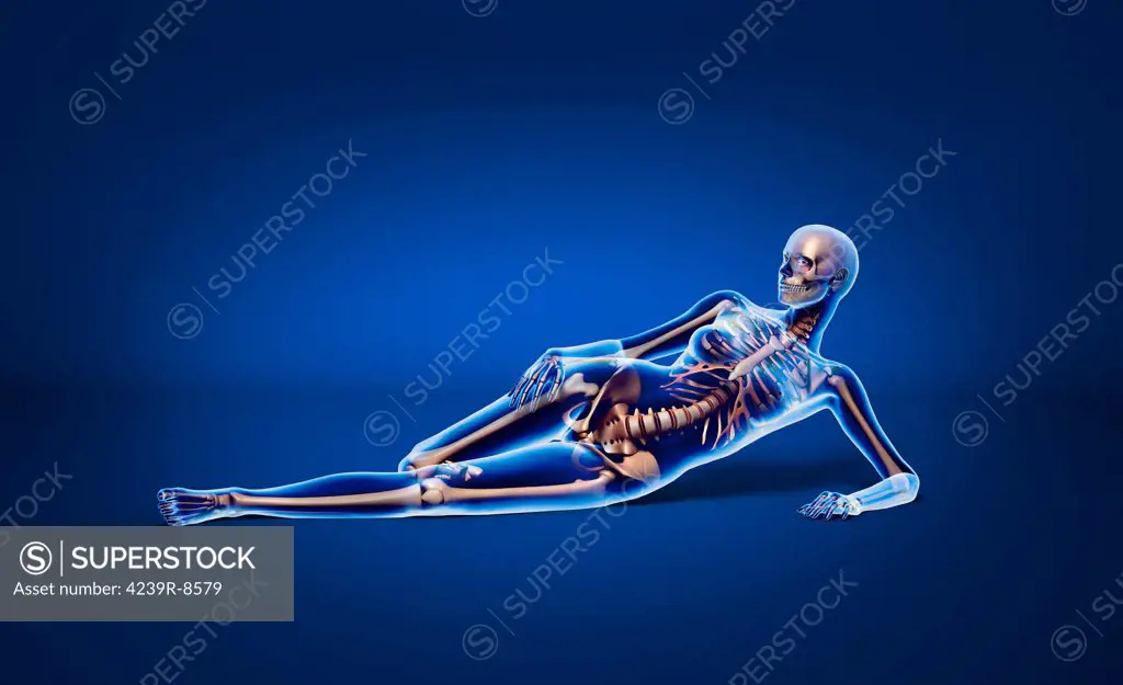 X-ray view of naked woman laying down on floor with skeletal bones superimposed.