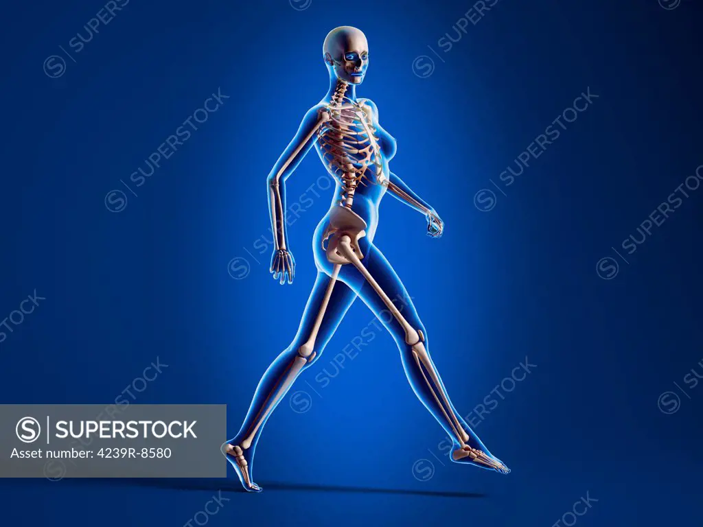 X-ray view of a naked woman walking, with skeletal bones superimposed.