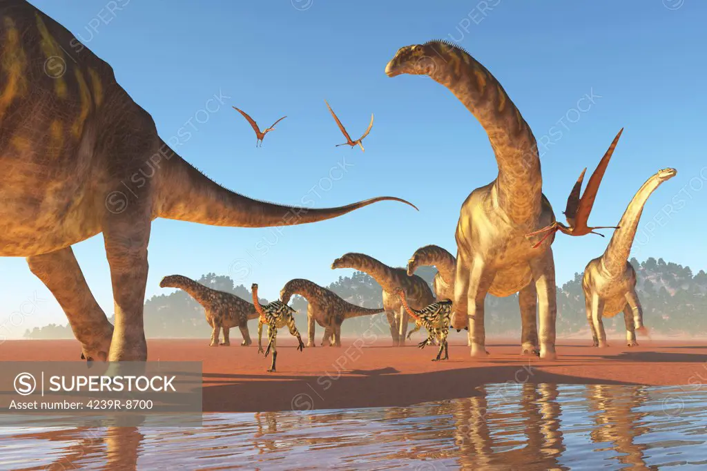 Two Deinocheirus move along with a herd of Argentinosaurus dinosaurs eating any insects and small animals that are stirred up.