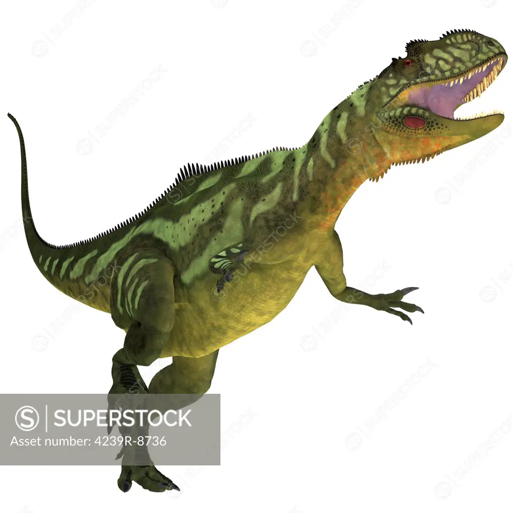 Yangchuanosaurus was a theropod dinosaur that lived in China during the Late Jurassic Period.