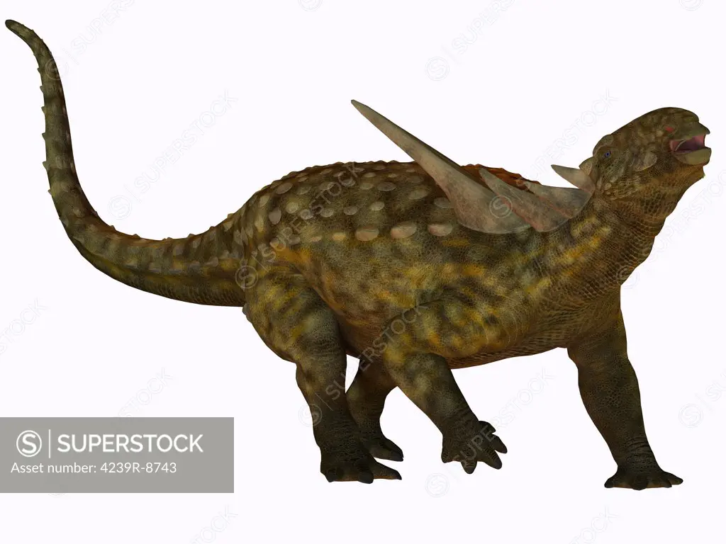 Sauropelta, a herbivorous dinosaur that lived in river floodplains of North America during the Cretaceous Period.